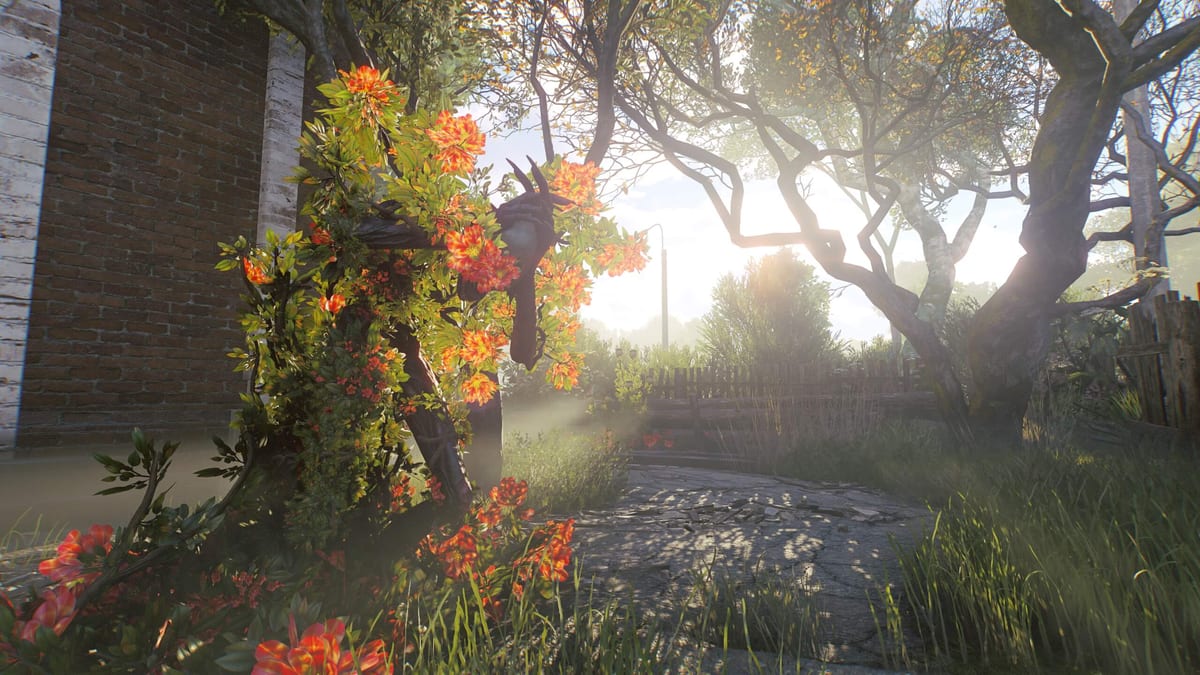 System Requirements